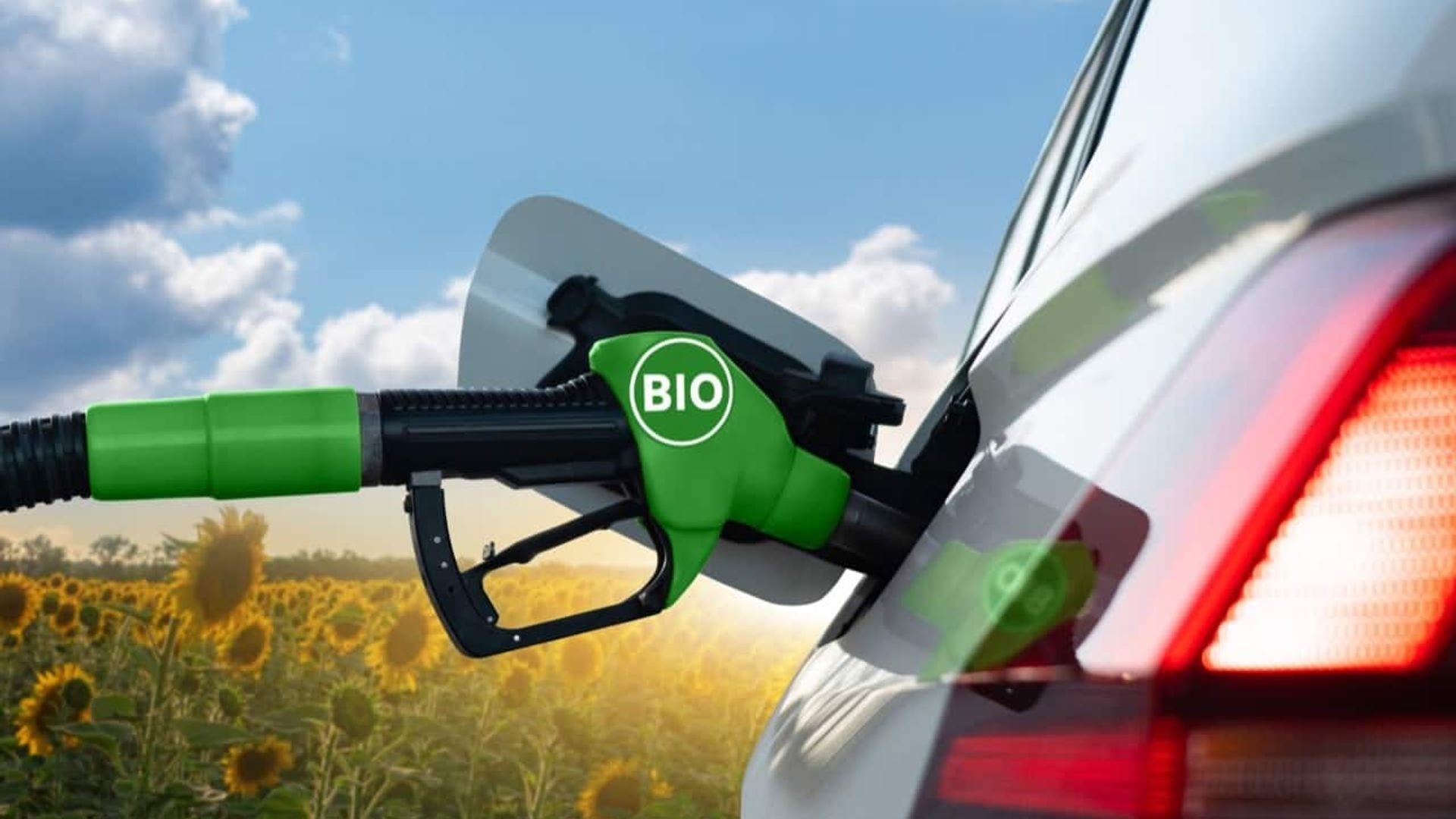 Cina, i dazi non riguarderanno solo le EV ma anche i biocarburanti