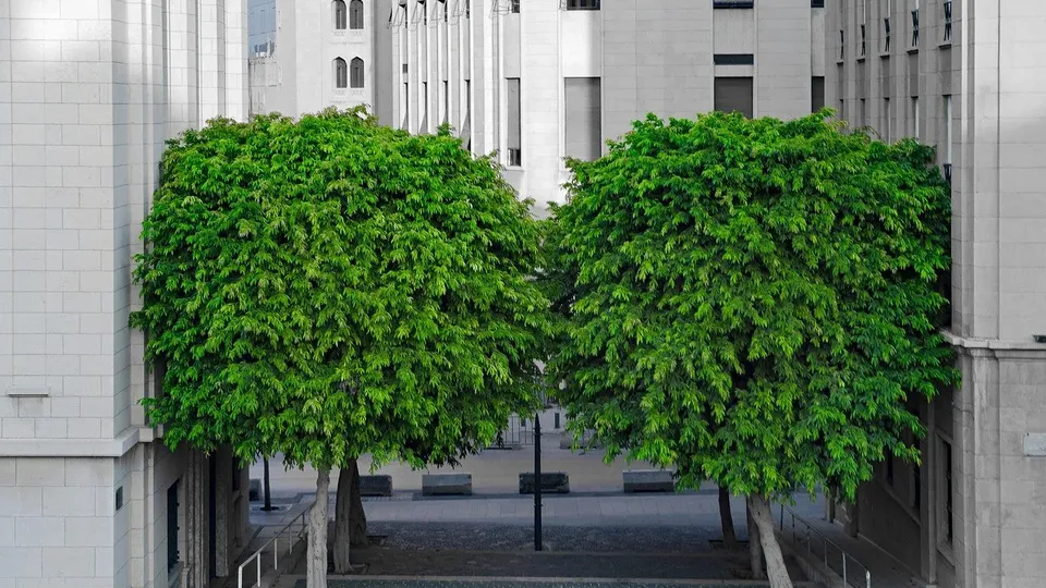 Arbolia, SNAM a tutto greenwashing