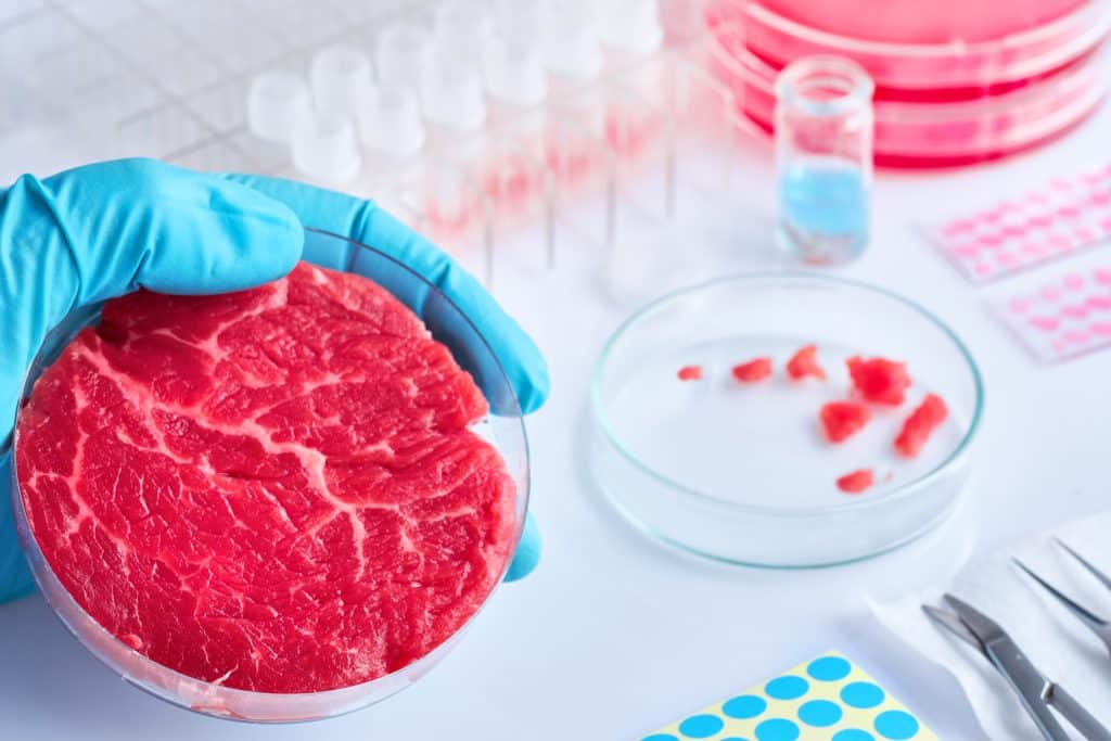 Carne sintetica - Di cosa si tratta? | Elettronauti.it