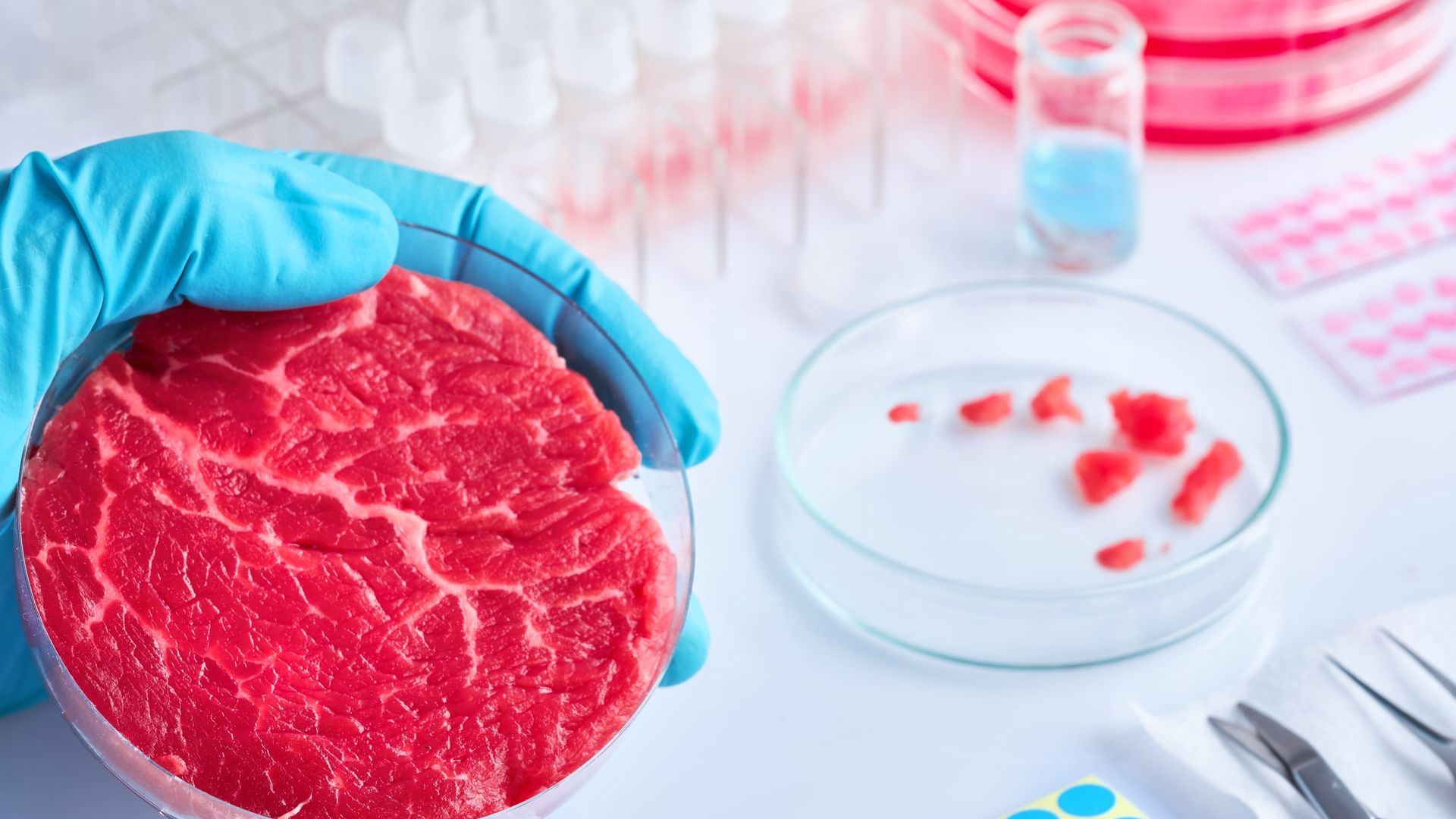 Carne sintetica - Di cosa si tratta?