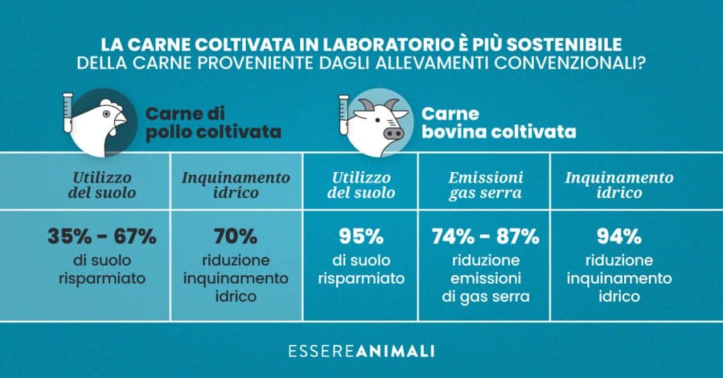 Carne sintetica o carne coltivata? - Di cosa si tratta? | Elettronauti.it