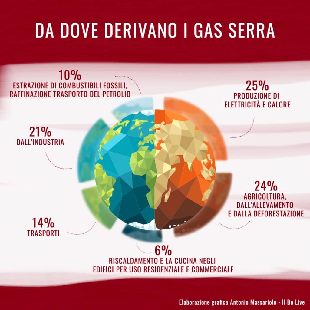 Carne sintetica o carne coltivata? - Di cosa si tratta? | Elettronauti.it