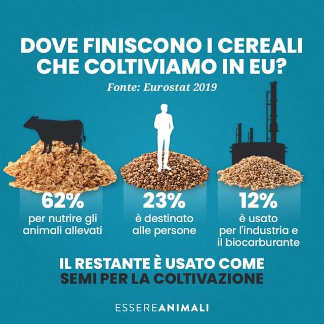 Carne sintetica o carne coltivata? - Di cosa si tratta? | Elettronauti.it
