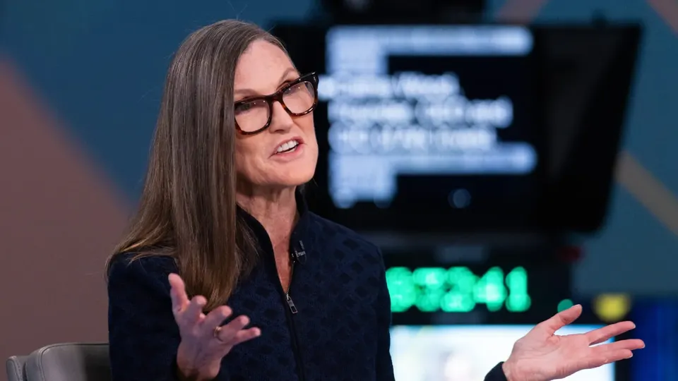 Cathie Wood da anni è una fan delle azioni Tesla (gettyimages)