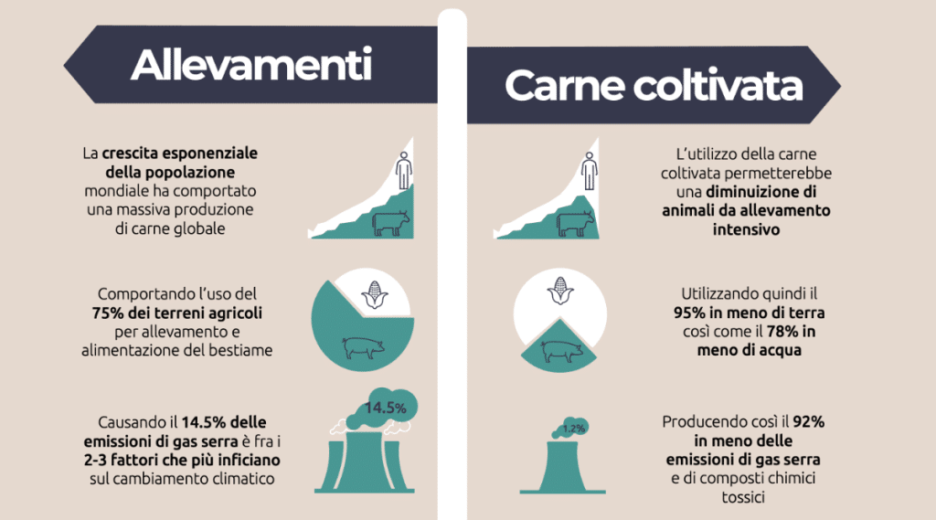 CultMeat, aiuta il primo progetto di carne coltivata italiano | Elettronauti.it