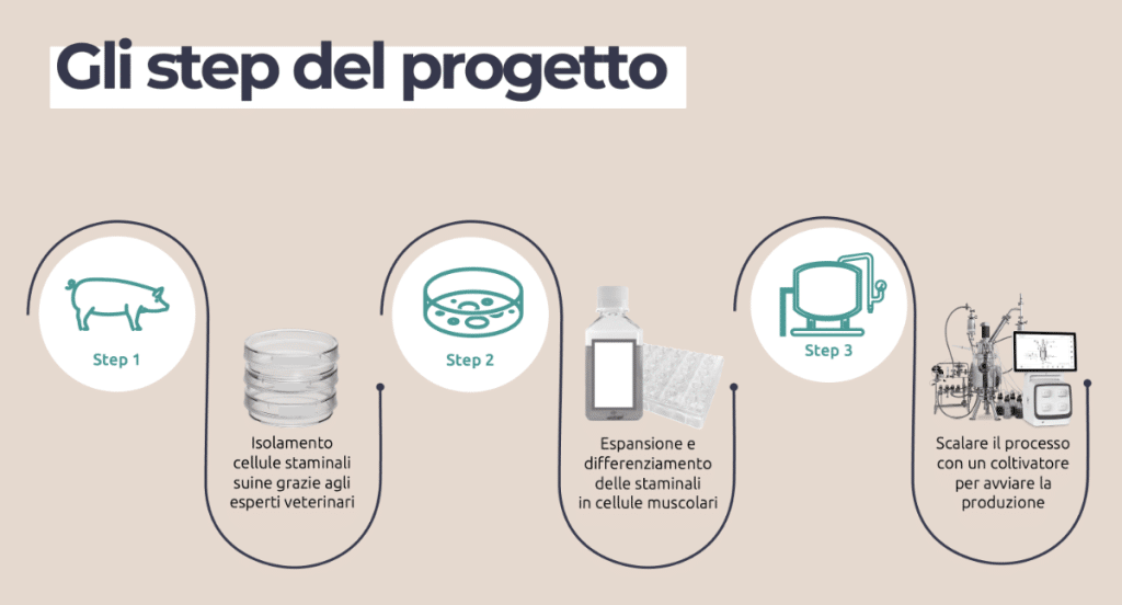 CultMeat, aiuta il primo progetto di carne coltivata italiano | Elettronauti.it