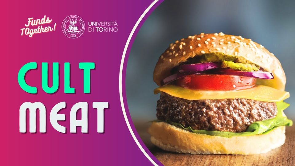 CultMeat, aiuta il primo progetto di carne coltivata italiano