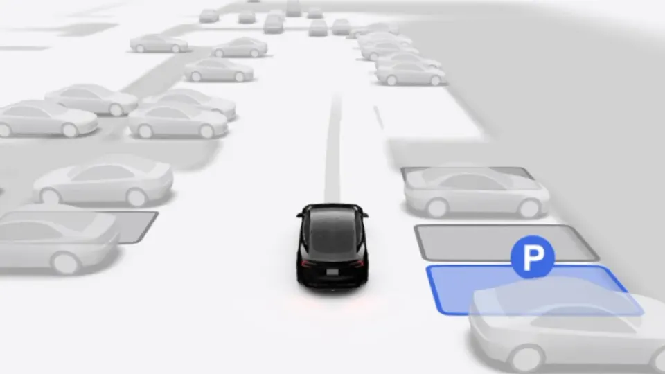 Tesla Vision autopark