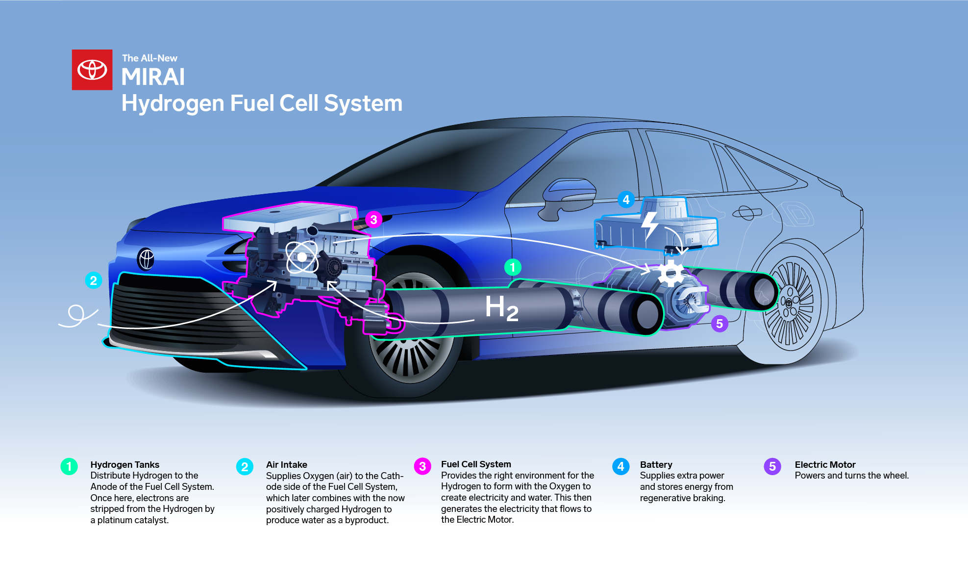 ElettroWiki - Diversi tipi di EV: FCEV o Fuel Cell | Elettronauti.it