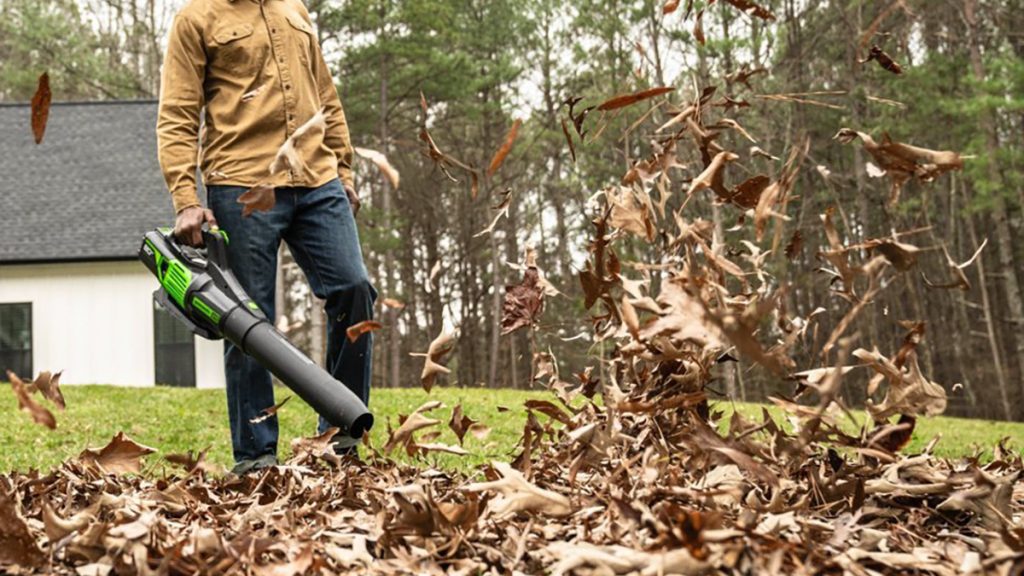 Gli attrezzi per il giardinaggio a scoppio sono pericolosi per la salute. Cosa sta succedendo negli Stati Uniti ed in Europa. | Elettronauti.it