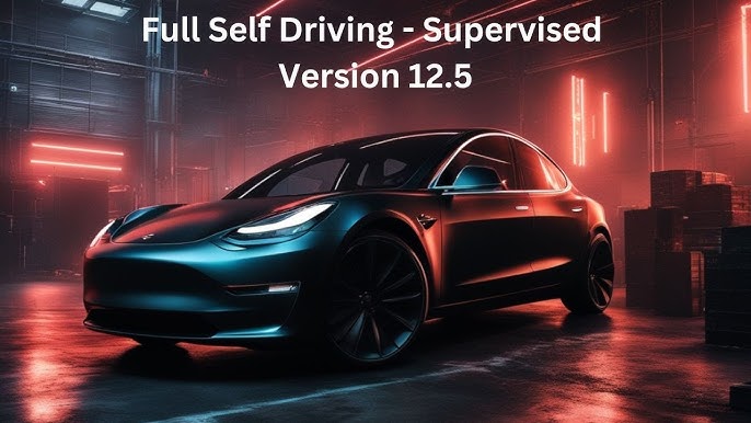 Tesla Full Self-Driving 12.5 | Elettronauti.it