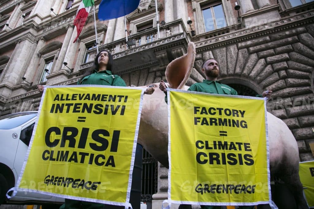 Il maggiore inquinamento arriva dagli allevamenti intensivi, lo sapevate? | Elettronauti.it