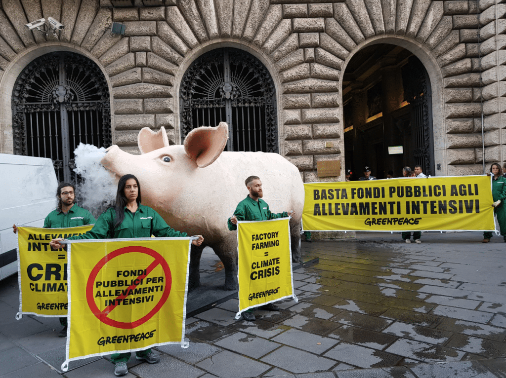 Il maggiore inquinamento arriva dagli allevamenti intensivi, lo sapevate? | Elettronauti.it