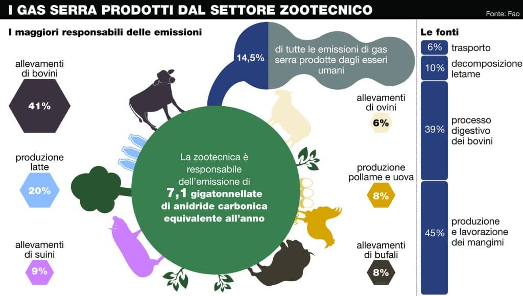 Il maggiore inquinamento arriva dagli allevamenti intensivi, lo sapevate? | Elettronauti.it