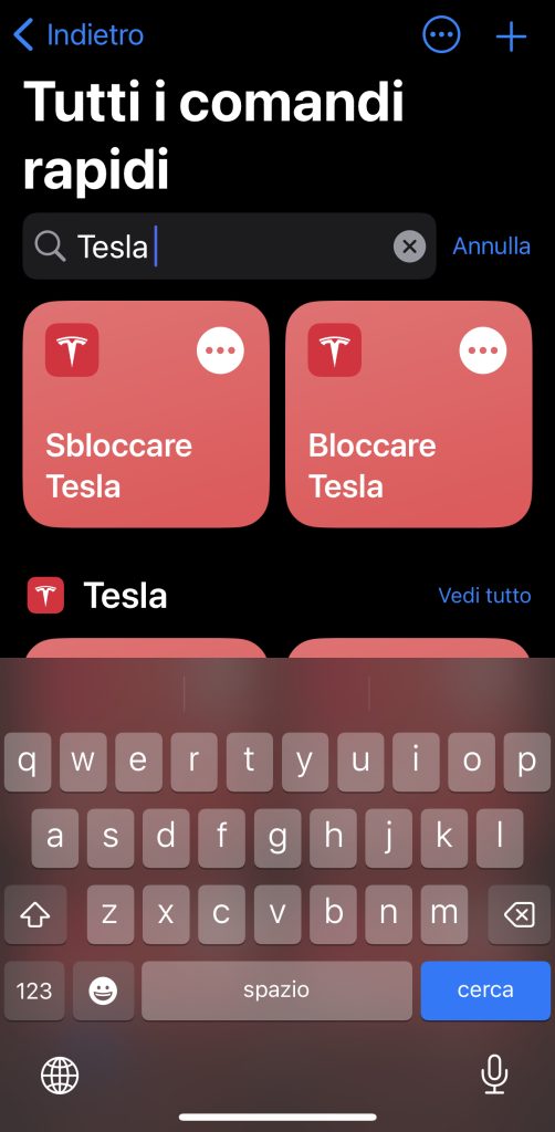 Digitare nella barra di ricerca "Tesla" e si apriranno le varie icone | Elettronauti.it
