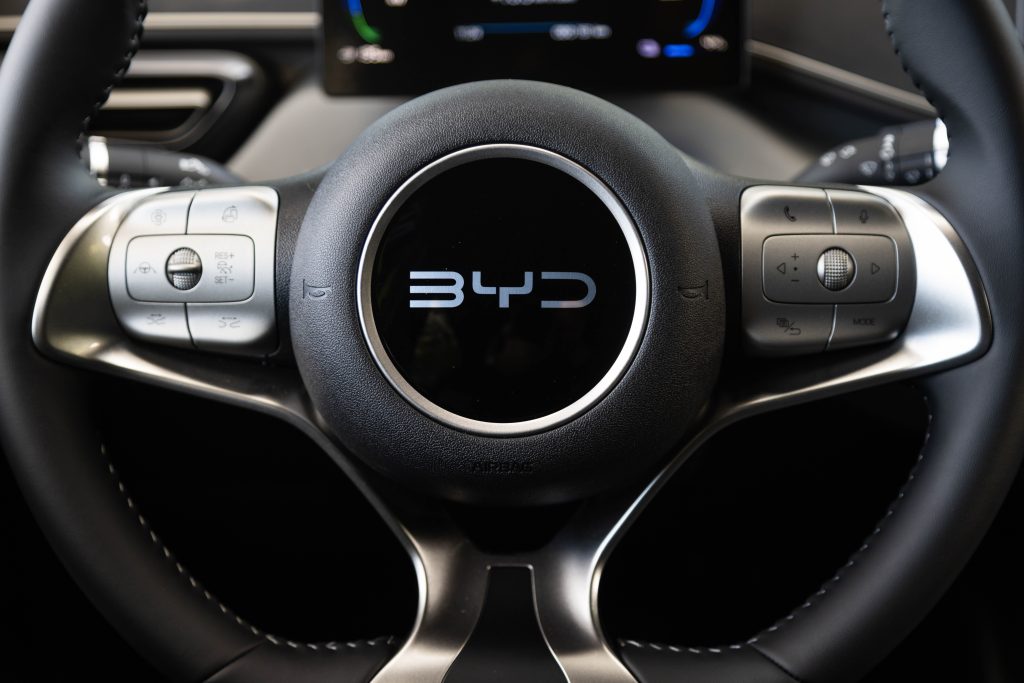 interni byd dolphin surf volante