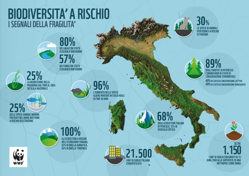L'Italia e la biodiversità a rischio | Elettronauti.it