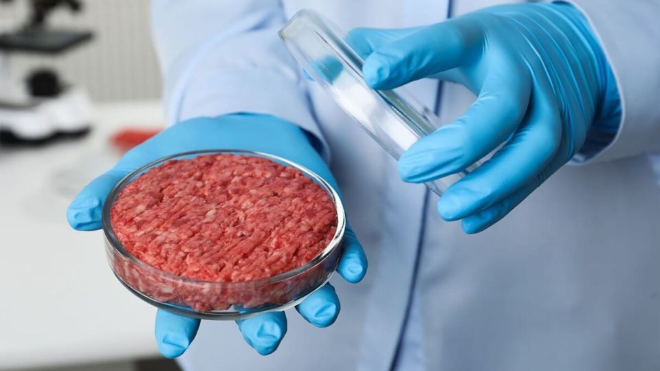 L'Italia vieta la carne sintetica. Ma che cos'è?