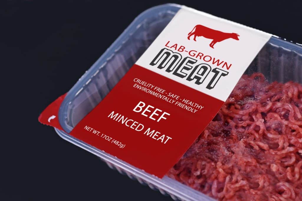 L'Italia vieta la carne sintetica. Ma che cos'è? | Elettronauti.it