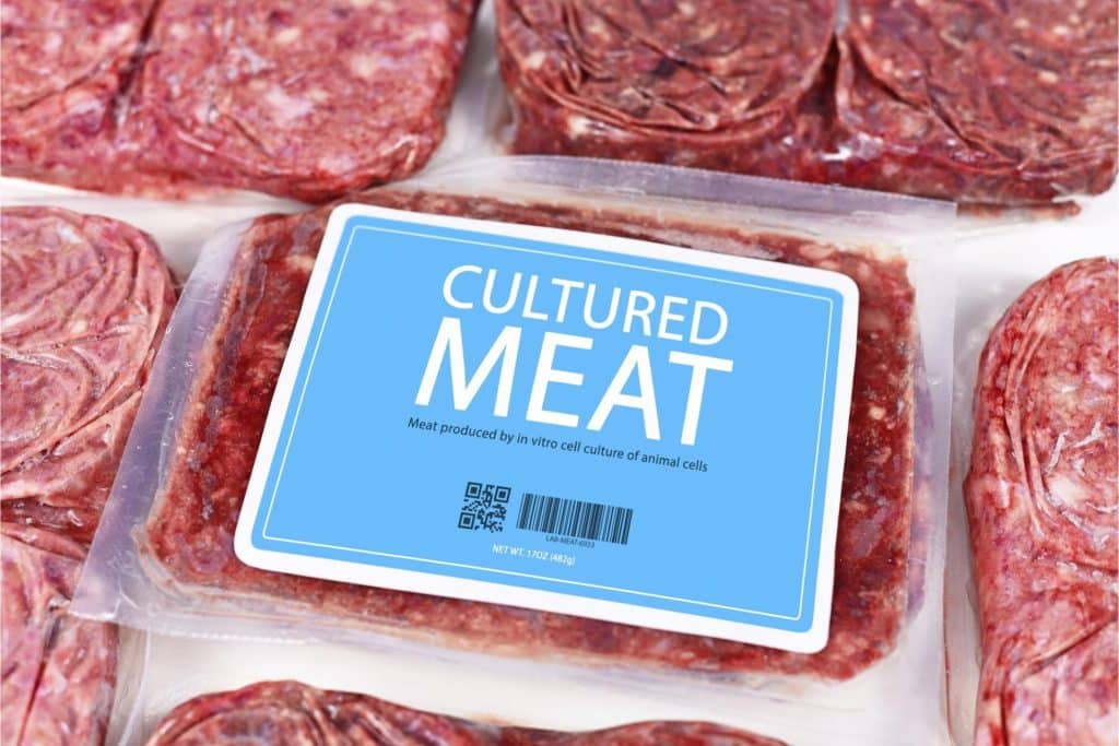 L'Italia vieta la carne sintetica. Ma che cos'è? | Elettronauti.it