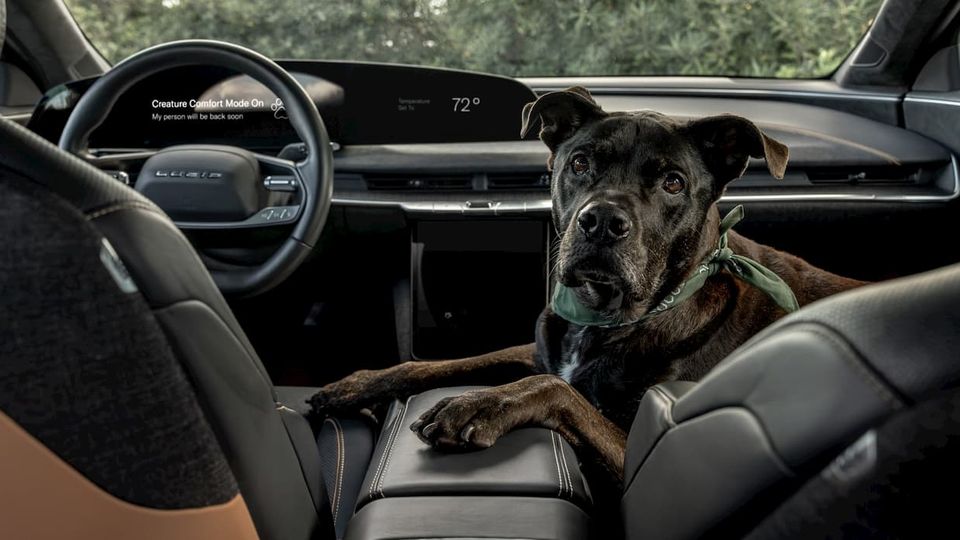Lucid Motors offre ai proprietari di animali domestici una funzione come la “Tesla Dog Mode”