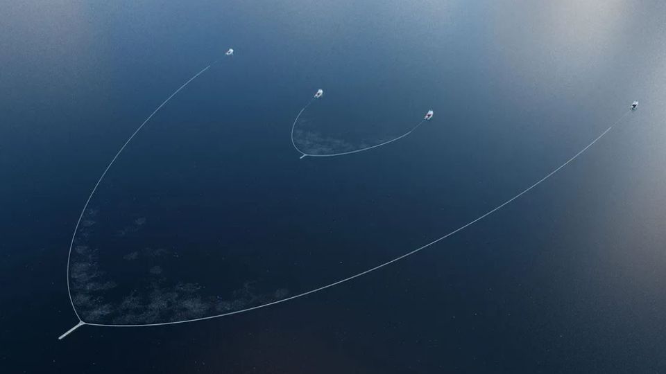 System 002 vs System 03