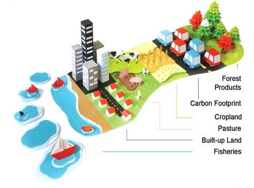 Misurazione "dell'impronta" ecologica | Elettronauti.it