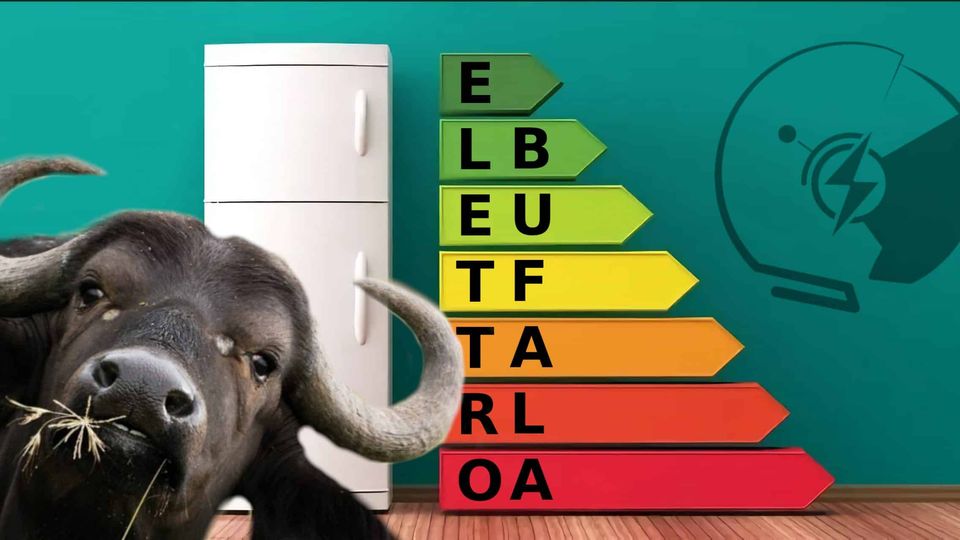 L'Elettrobufala del frigo