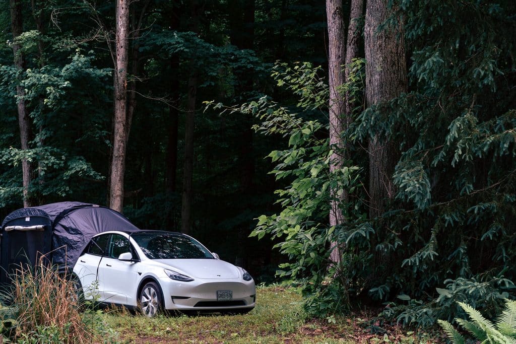 Il campeggio nella Tesla Model Y questa estate! | Elettronauti.it