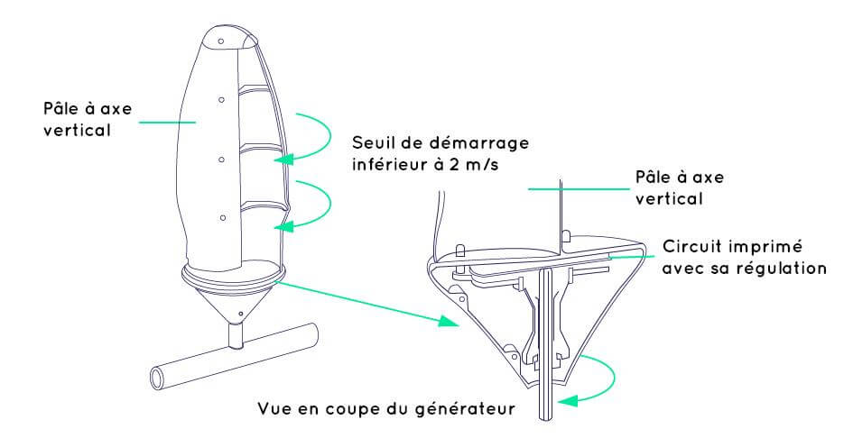 Windtree, l'albero che produce energia da eolico e fotovoltaico | Elettronauti.it