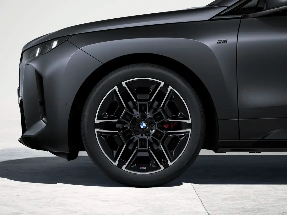 Elettronauti - BMW iX M70 xDrive - Cerchio