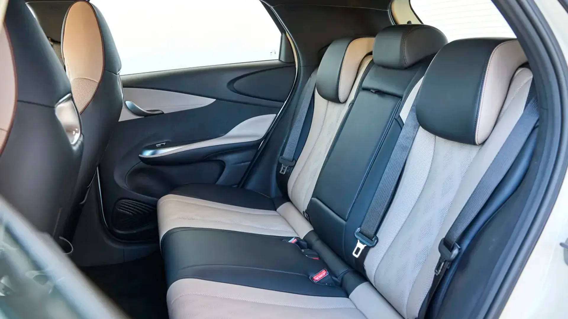 Elettronauti - BYD Dolphin Comfort - Grigio - Sedili - Sedili posteriori