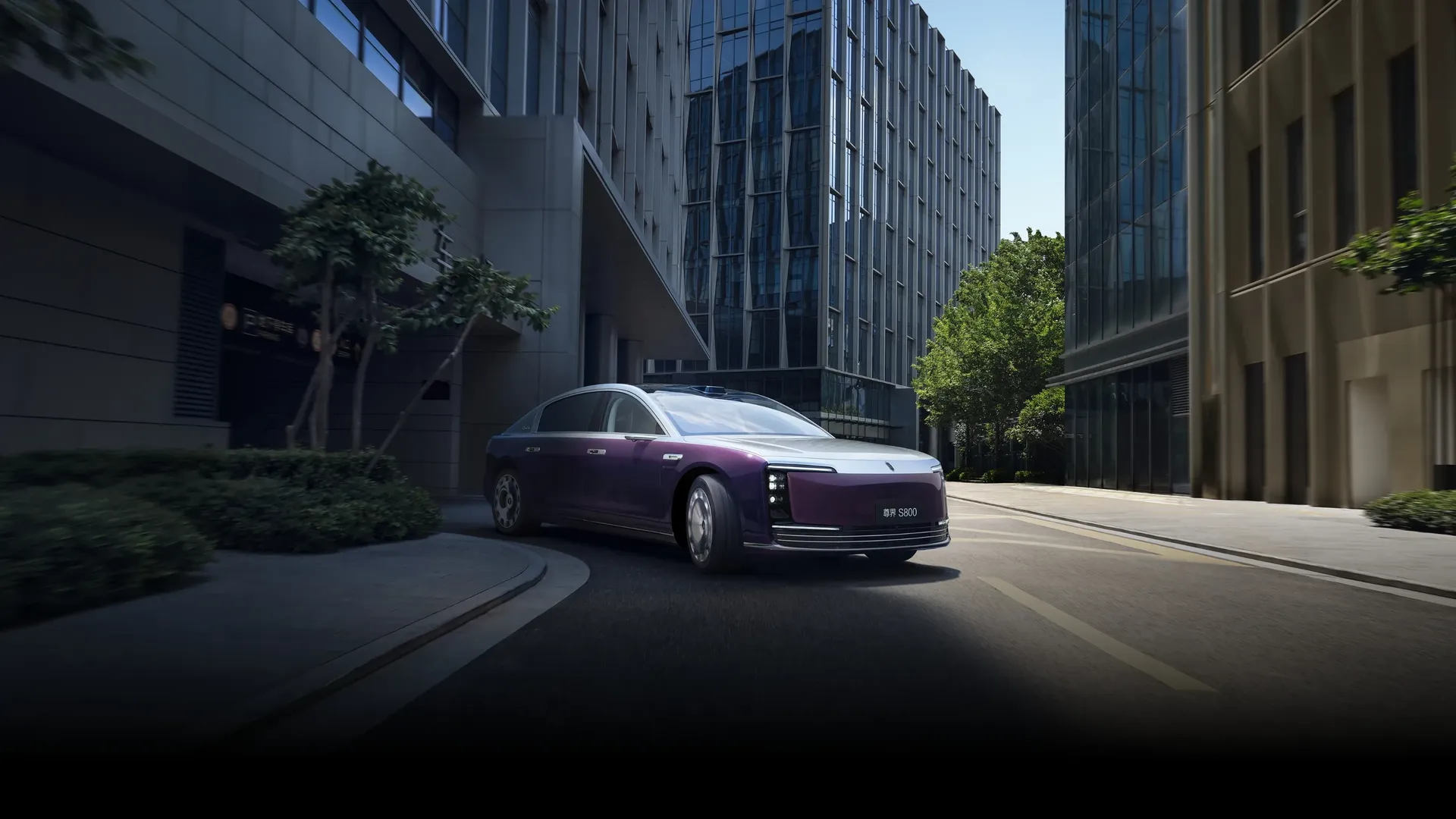 MAEXTRO S800 Executive