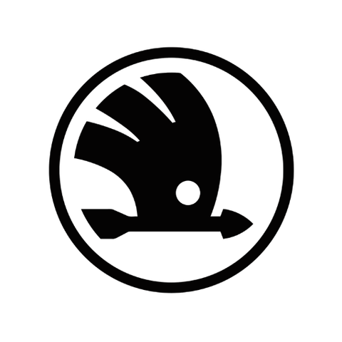 Skoda Logo Elettronauti