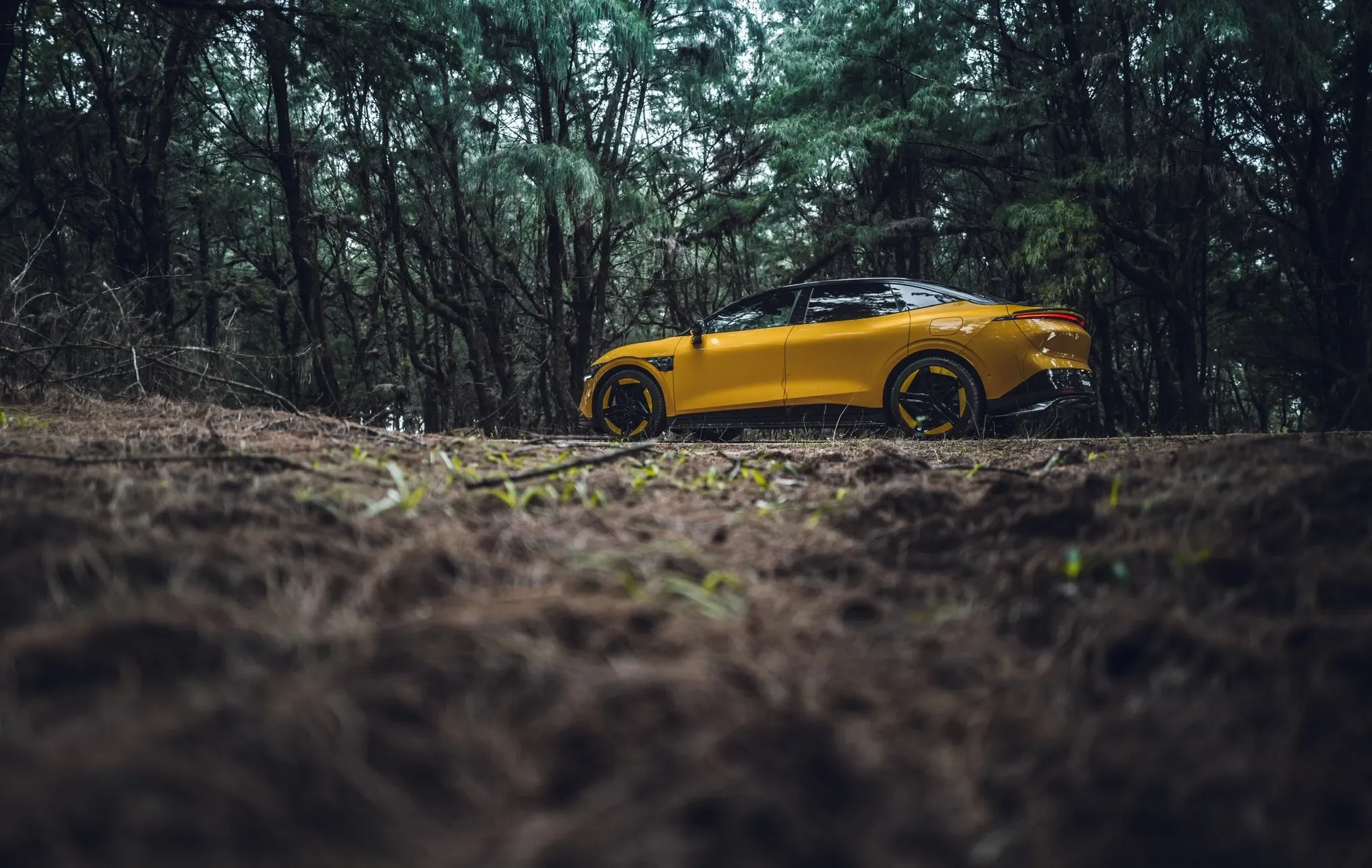 Zeekr 007 AWD Performance